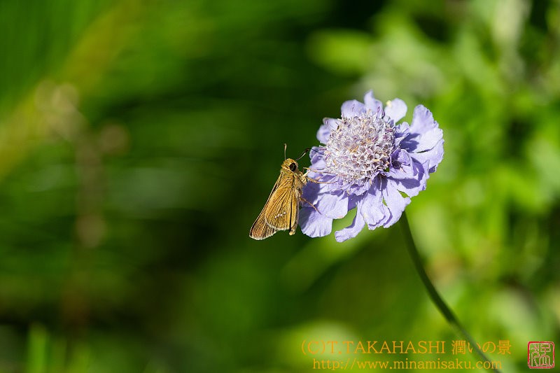 ../Images/7R240812 (5).jpg